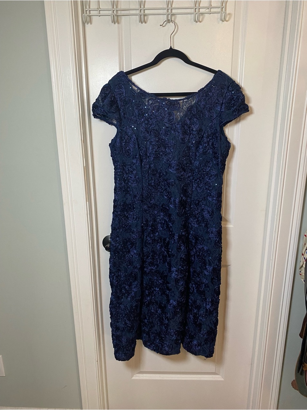 Alex Evenings Elegant Navy Blue Lace Sparkle Dress